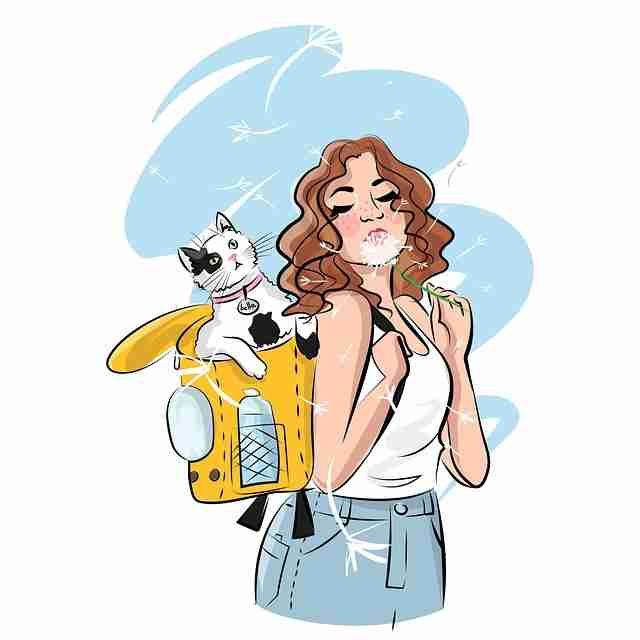 一文读懂吃瓜51运营策略:催化指南:超全解析