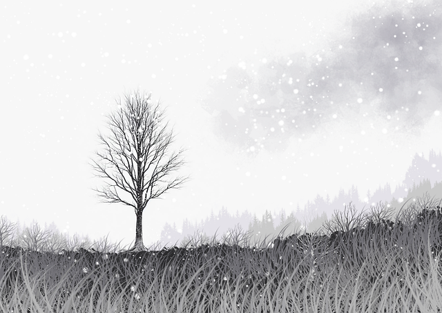 为什么P站强化?社区生态告诉你答案(新手福音)