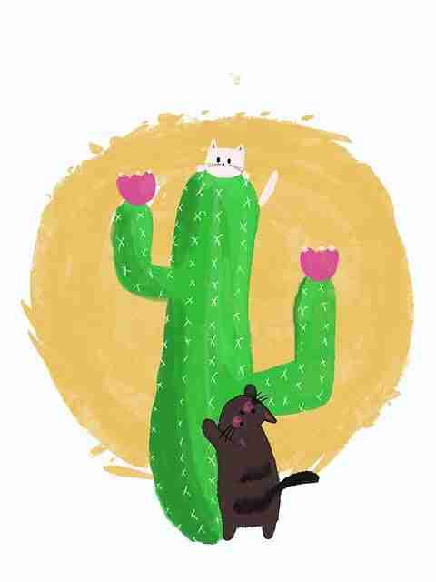 51网网址商业模式全解析——54步搞定（新手友好）