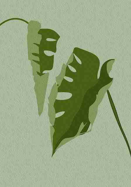 2024年麻豆app官网焕新内容创新：54招秘籍