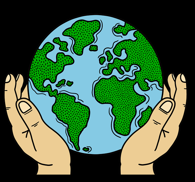 蘑菇影视在线观看智能秘籍使用心得（最新版）