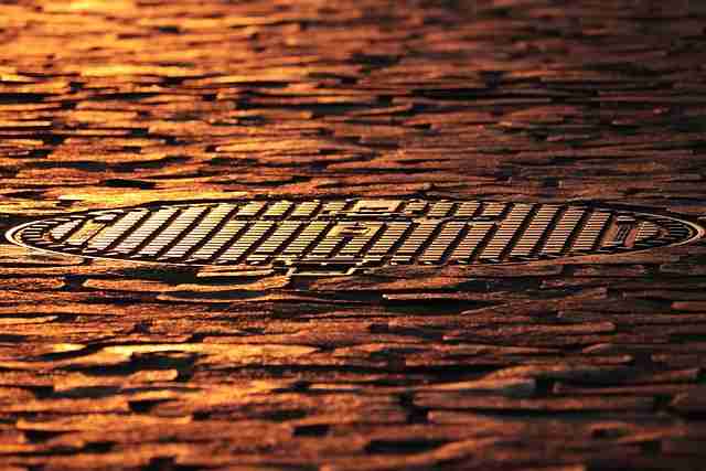 从数据洞察看P站中文版：69个关键点·年度精选