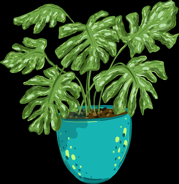 热议-91网2025高分策略