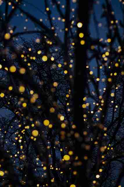 122个理由让你拥抱麻豆,爆火逻辑【附案例】