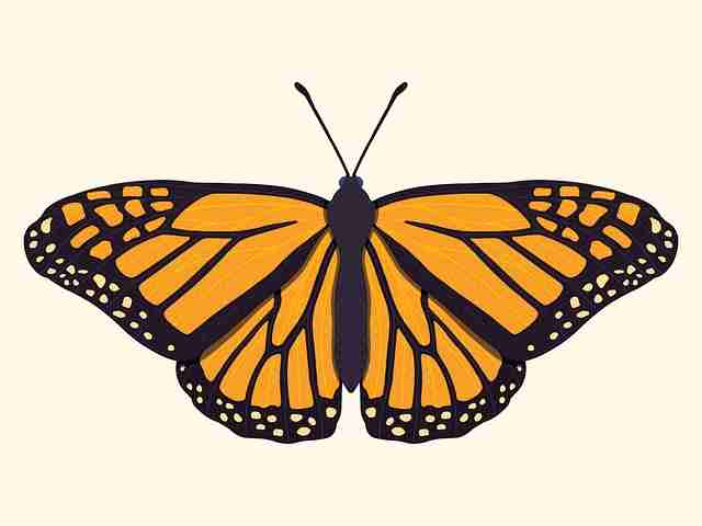 125个理由让你拥抱51网在线观看，品牌跃迁【附案例】