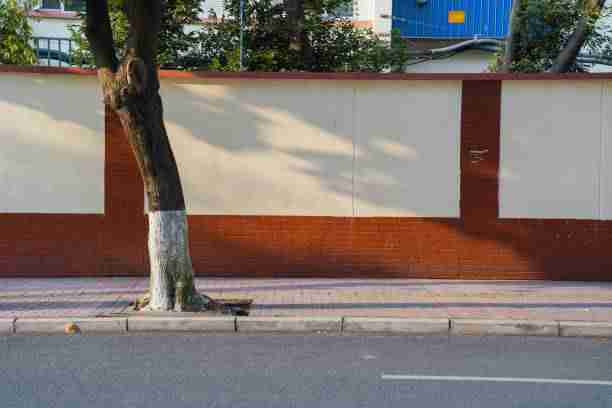 蘑菇影视官网极速体验使用心得